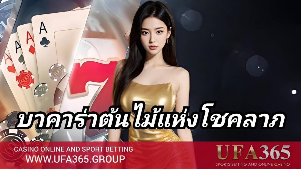บาคาร่าต้นไม้แห่งโชคลาภ ครบทั้งวิธีเล่น ฟีเจอร์พิเศษ และแนวทางทำกำไร กับ UFA365
