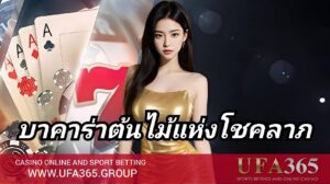 บาคาร่าต้นไม้แห่งโชคลาภ ครบทั้งวิธีเล่น ฟีเจอร์พิเศษ และแนวทางทำกำไร กับ UFA365
