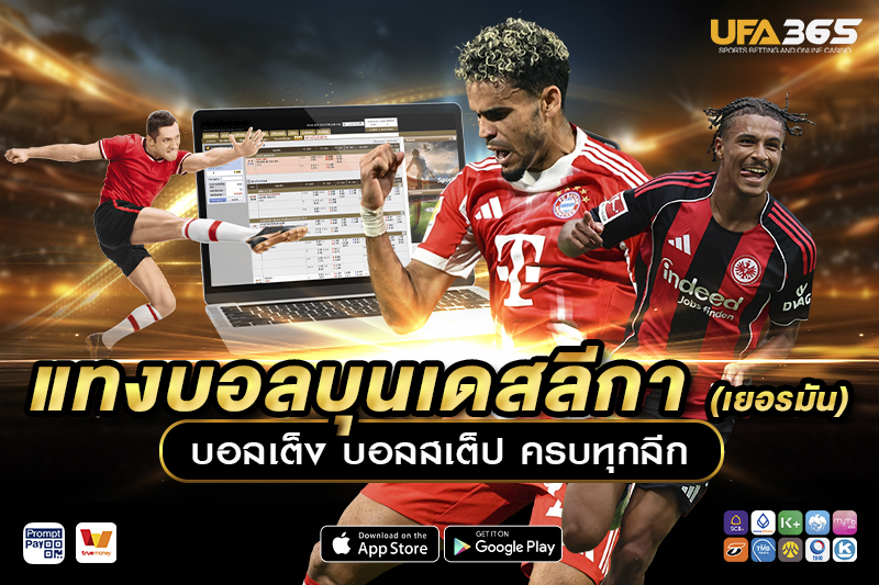 รูปแบบการเล่นในบุนเดสลีกา